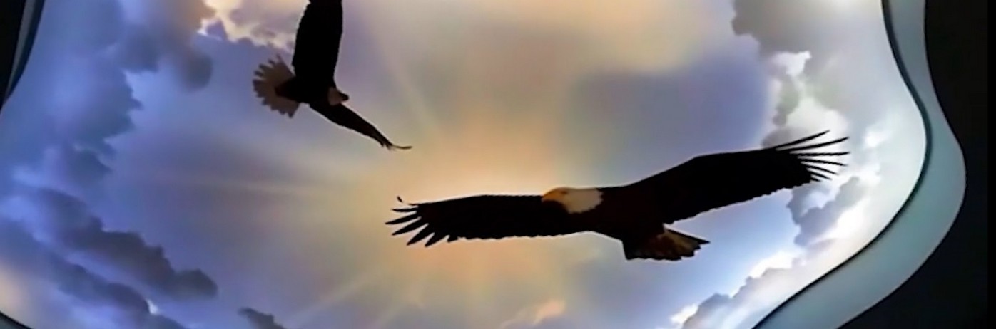 Spanndecken Preise in Deutschland - 2026. Spanndecken Preise in Deutschland 2026.