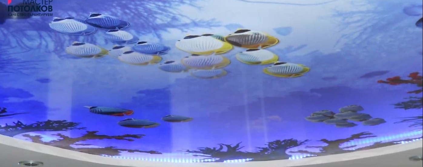 Spanndecken Preise in Deutschland – Stand 12 Dezember 2025. Spanndecken Preise in Deutschland – 12 Dezember 2025.