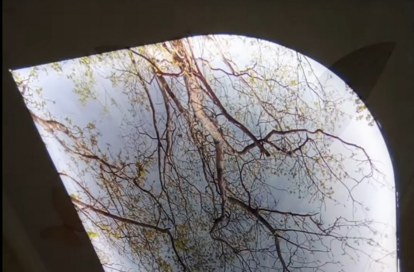 Die 7 Hauptvorteile – warum wir bei Dekorchoice so selbstbewusst grinsen. Die 7 Hauptvorteile – warum wir bei Dekorchoice so selbstbewusst grinsen 2026.