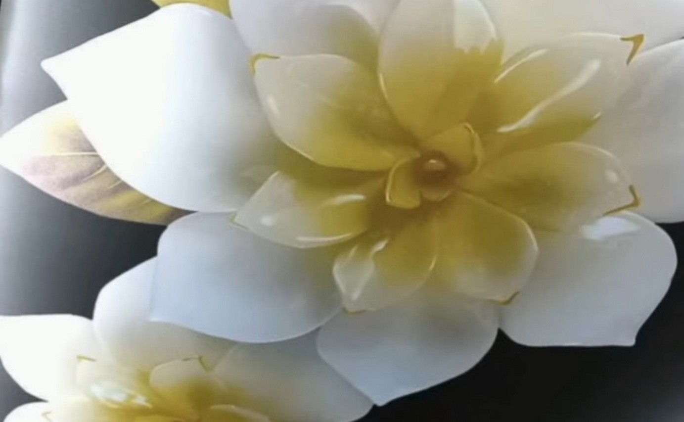 Spanndecke vs. Gipskarton – der ehrliche 2026-Vergleich. Spanndecke vs. Gipskarton – der ehrliche Vergleich.