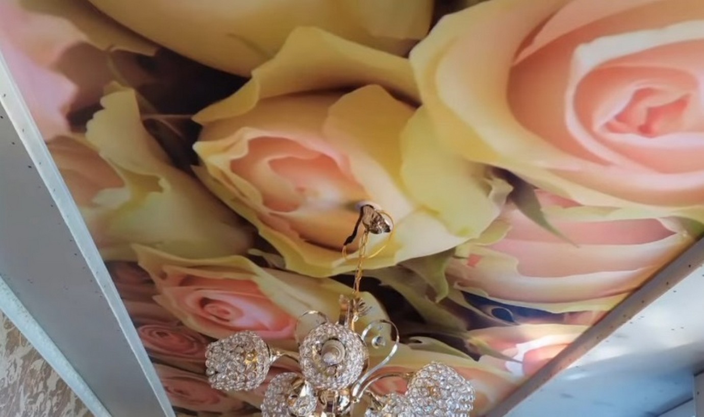 Gängige Arten und Design – oder: Warum nicht einfach alles weiß und langweilig 2026?