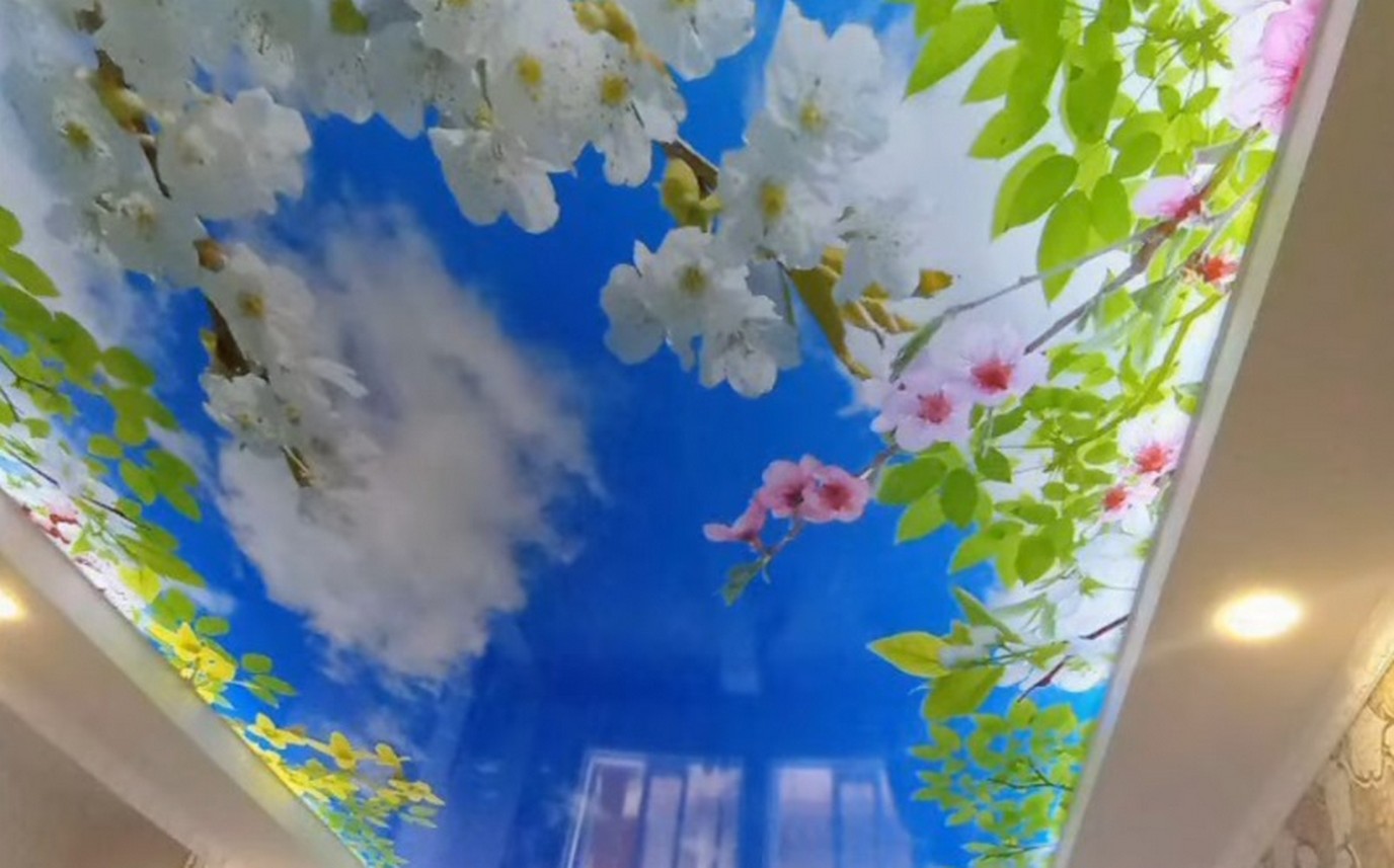 Die Preisfrage 2026.