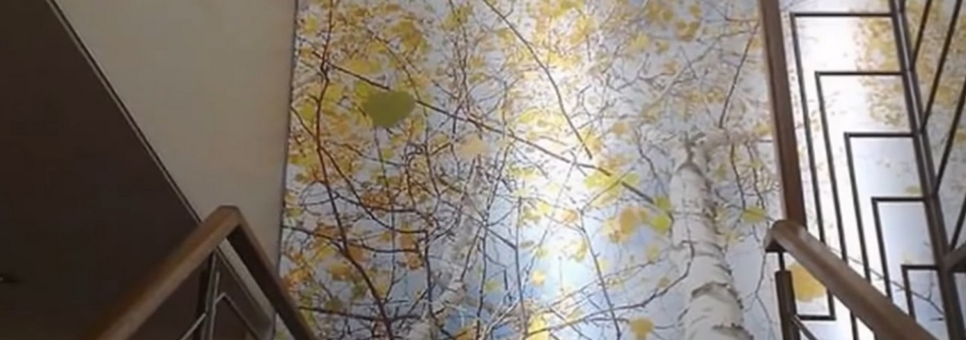 Spanndecken: Innovative Trends und Lösungen für Ihr Zuhause in Nürnberg 2026.