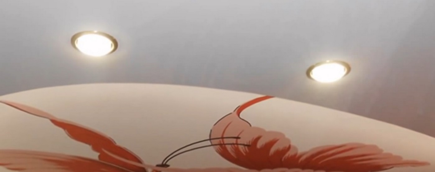 Nachhaltige Materialien für Spanndecken: Niedriger CO2-Fußabdruck 2026.