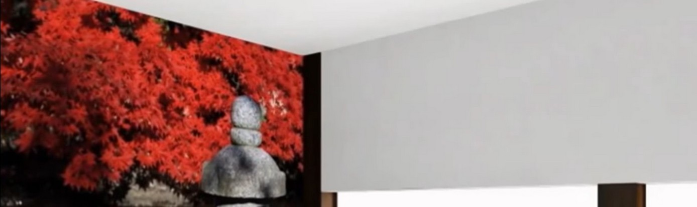 Wie wählen Sie umweltfreundliche Spanndecken für Ihr Zuhause in Deutschland 2026?