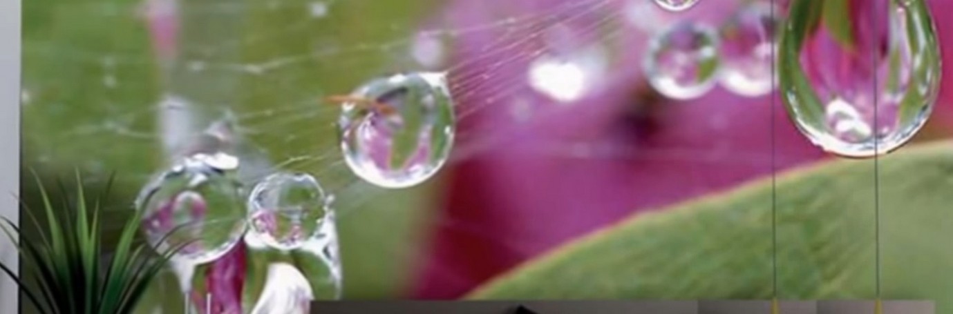 Spanndecken-Trends 2026: Innovative Lösungen für Ihr Zuhause in Nürnberg 2026.