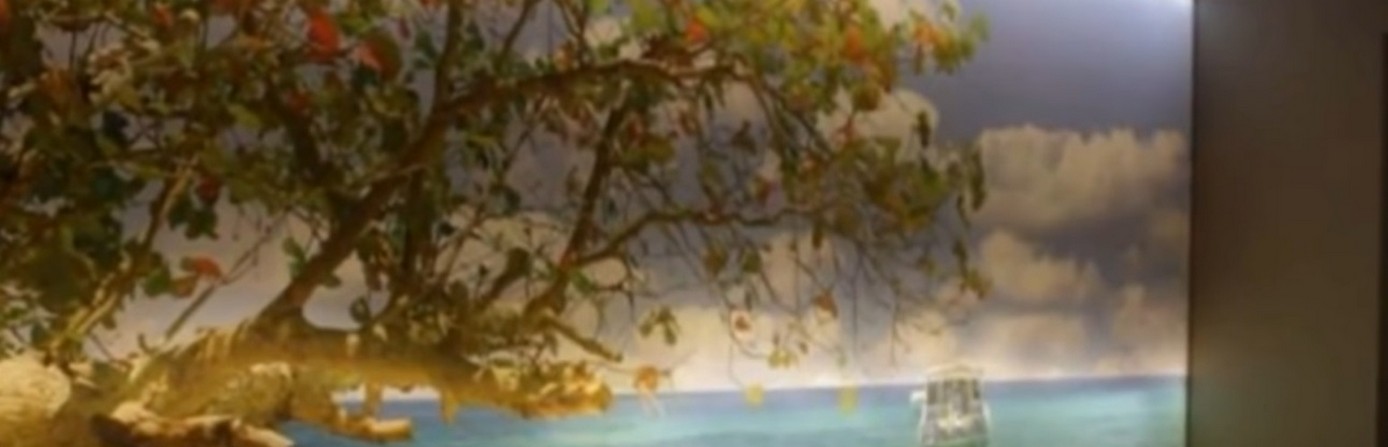 Wie Spanndecken sich nahtlos mit Lüftungssystemen integrieren 2026.