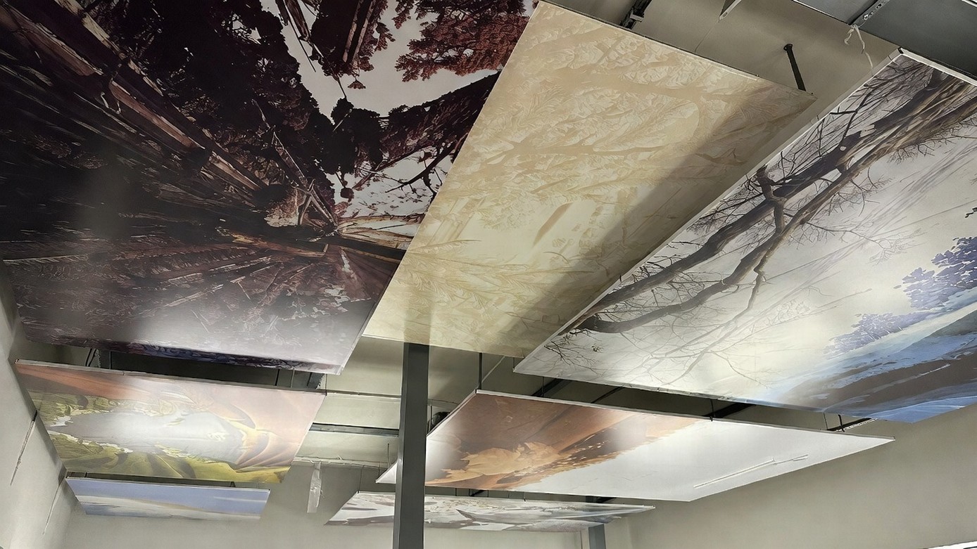 Schattenprofile in 2026: Bestellen die Nürnberger das noch, oder ist es out 2026?