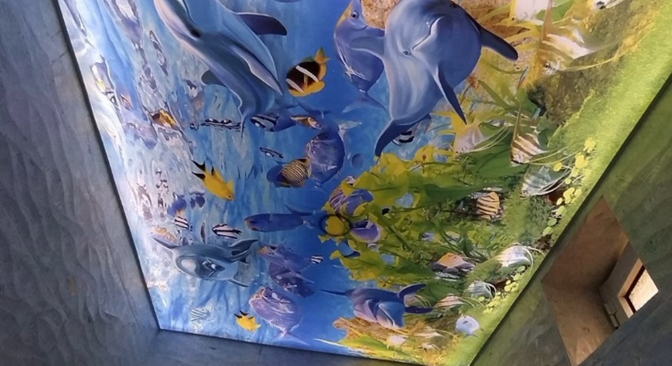 Der Aufbau von Spanndecken: Mehr Schichten als ein Bayerisches Drama. Der Aufbau von Spanndecken: Mehr Schichten als ein Bayerisches Drama 2026.